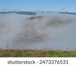 A view of the morning fog clearing out from the hills above the fog