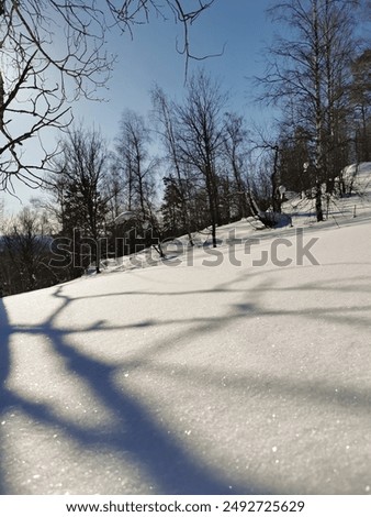 view from Mount Aigir in Bashkiria in winter on a sunny frosty day, Beloretsk