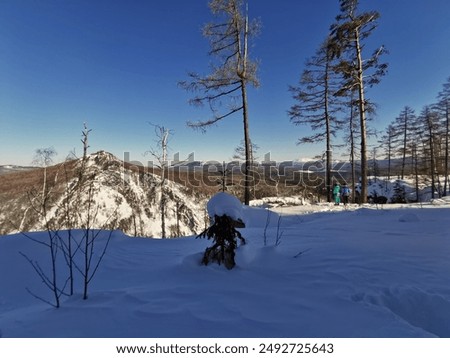 view from Mount Aigir in Bashkiria in winter on a sunny frosty day, Beloretsk