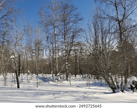 view from Mount Aigir in Bashkiria in winter on a sunny frosty day, Beloretsk