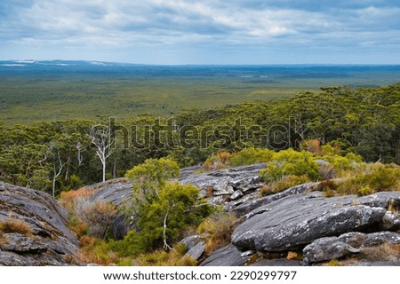 View from Mount Chudalup, a granitic ecological island (inselberg) in the marshes between Northcliffe and Windy Harbour in the south of Western Australia
