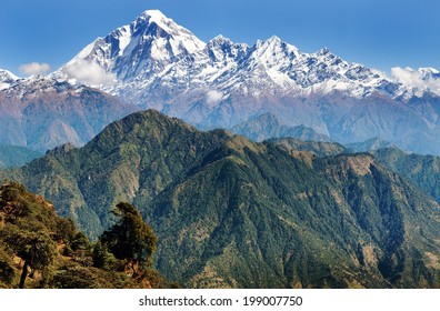 View of mount Dhaulagiri - Nepal 