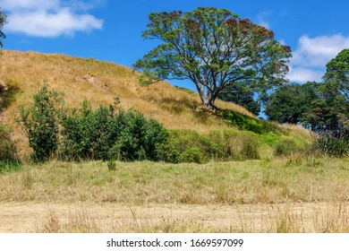 View Of Mount Eden Park In Auckland, New Zealand