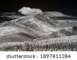 "View of Mount Elbert and Pine Trees"