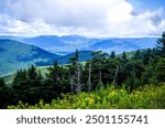 View from the mount equinox skyline drive