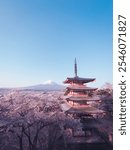 View of Mount Fuji and the iconic Chureito Pagoda in spring with cherry blossoms and blue skies.