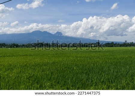 view of Mount Liman or Mount Wilis from a place in Tulungagung, Indonesia, people know it as the Lembu Peteng area