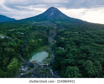 34,473 Dense vegetation Images, Stock Photos & Vectors | Shutterstock