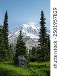 View of Mount Rainier above a subalpine meadow on a sunny summer day, peaceful recreation landscape, Mt Rainier National Park
