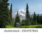 View of Mount Rainier above a subalpine meadow on a sunny summer day, peaceful recreation landscape, Mt Rainier National Park
