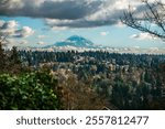 A view of Mount Rainier from Burien, Washington  in December. Homes in the foreground.