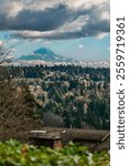 A view of Mount Rainier from Burien, Washington  in December. Homes in the foreground.