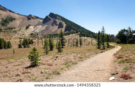 A view of Mount Scott trail that leads to the highest point in Crater Lake National Park, Oregon.
