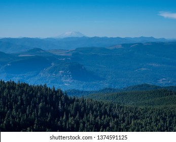 View Of Mount St Helens From Sherrard Point On Larch Mountain - Columbia River Gorge, Oregon