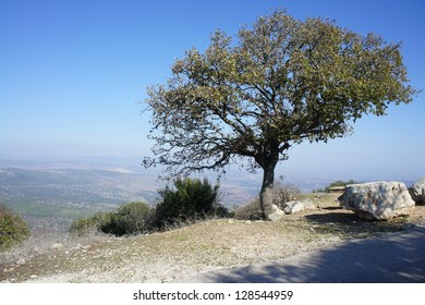 View From Mount Tabor, Israel