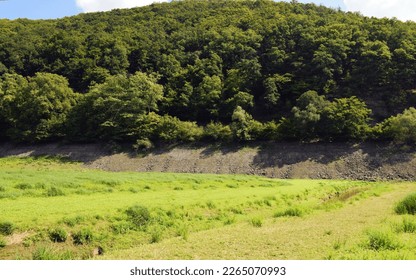 View of the mountain covered with trees