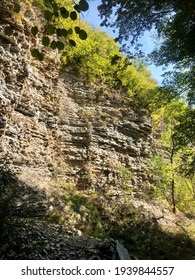 view of the mountain covered with trees background