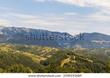 view of a mountain and forest during early spring