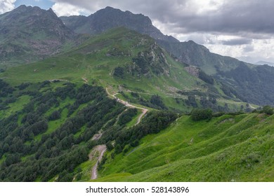 160 Montane grasslands and shrublands Images, Stock Photos & Vectors ...