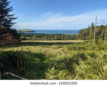 View From Up The Mountain Newport Pembrokeshire