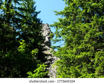 View of the mountain peak