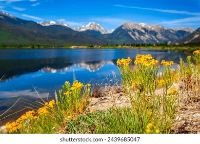 View of mountain peaks on a sunny afternoon from Twin Lakes, Colorado with yellow wildflowers in the foreground and reflections on the water - Powered by Shutterstock