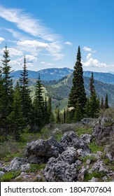 A View of a Mountain Range Through Trees