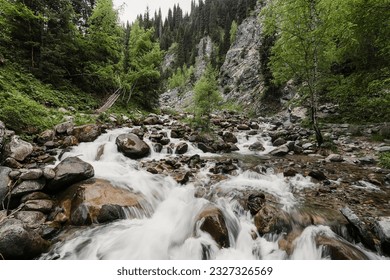 View of the mountain river with a strong current and rifts. The river is among the violent greenery. mountain stream with clear water