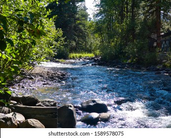 View of a mountain stream flowing through a forest at Rocky Mountain National Park in Colorado.