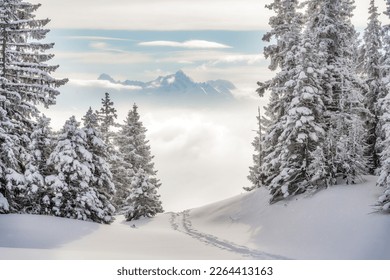 View from Mountain Wannenkopf near Nagelfluhkette in winter above the clouds