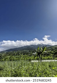 view of the mountain when covered with clouds