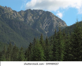 View of the mountains
