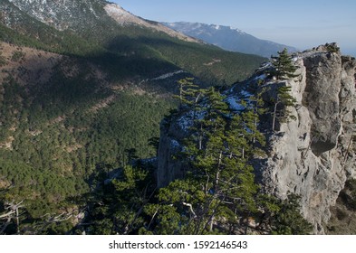 Ставри кая фото