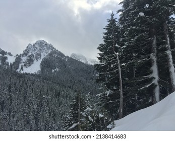 View Of Mountains During The Winter In The North Hemisphere, Mount Rainier National Park, Washington State, USA.