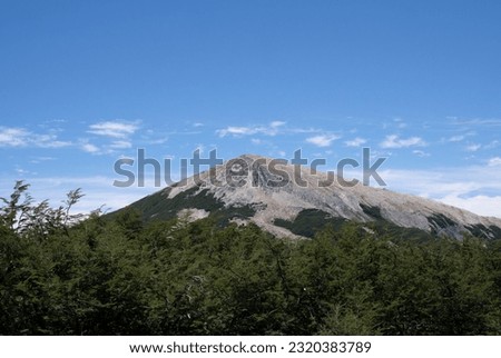 View of the mountains and forest under a blue sky.