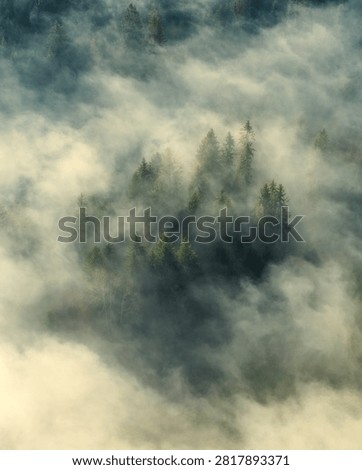 View of mountains or hills, covered in thin fog, in the Silesian Beskids region.