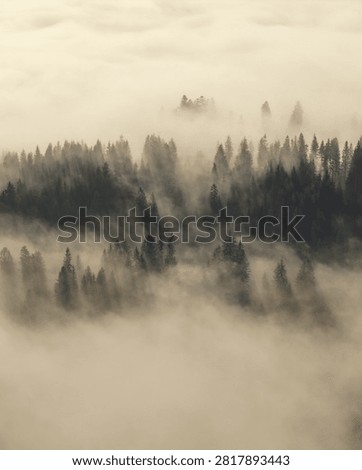 View of mountains or hills, covered in thin fog, in the Silesian Beskids region