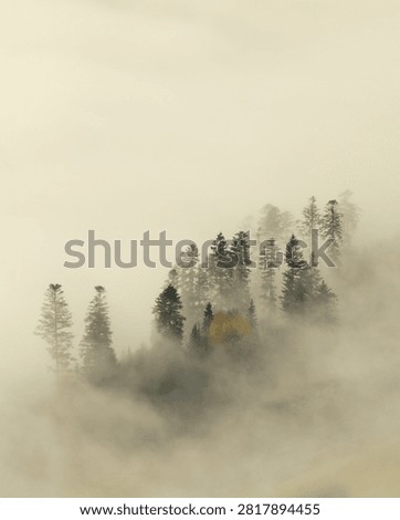 View of mountains or hills, covered in thin fog, in the Silesian Beskids region