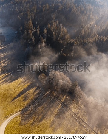 View of mountains or hills, covered in thin fog, in the Silesian Beskids region