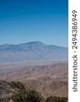 View of the mountains from Joshua Tree National Park