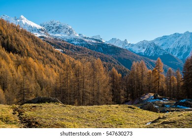 Monte-rosa Images, Stock Photos & Vectors | Shutterstock