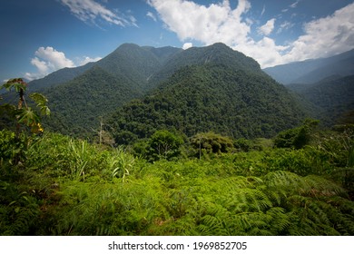 View Of The Mountains In Sierra Nevada, Colombia