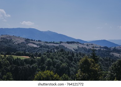 View of the mountains with trees