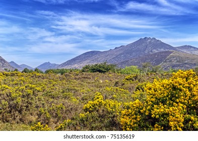 View Of The Mourne Mountains, Ireland.