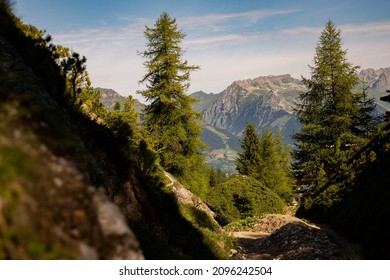 View Of A Moutain Between Trees