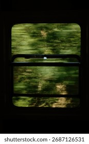 View from a moving train window showing blurred green forest scenery in Mokra Gora, Serbia