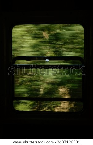 View from a moving train window showing blurred green forest scenery in Mokra Gora, Serbia