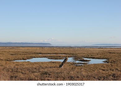 View Of Mt Baker From Boundary Bay, BC