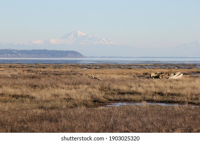 View Of Mt Baker From Boundary Bay, BC