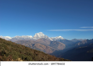 a view of mt. dhaulagiri as seen from the Poonhill, during poonhill trek. this trek is a 4 day trek in northern part of nepal.
